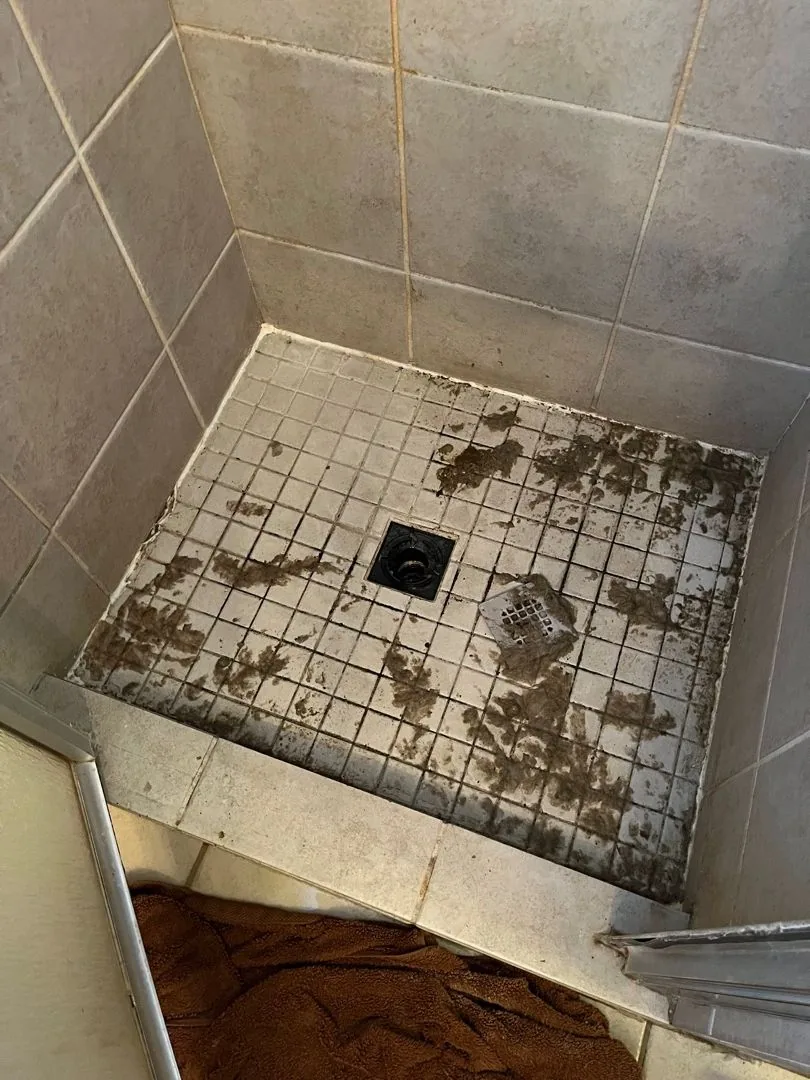 Sewage backup debris around a tiled shower drain
