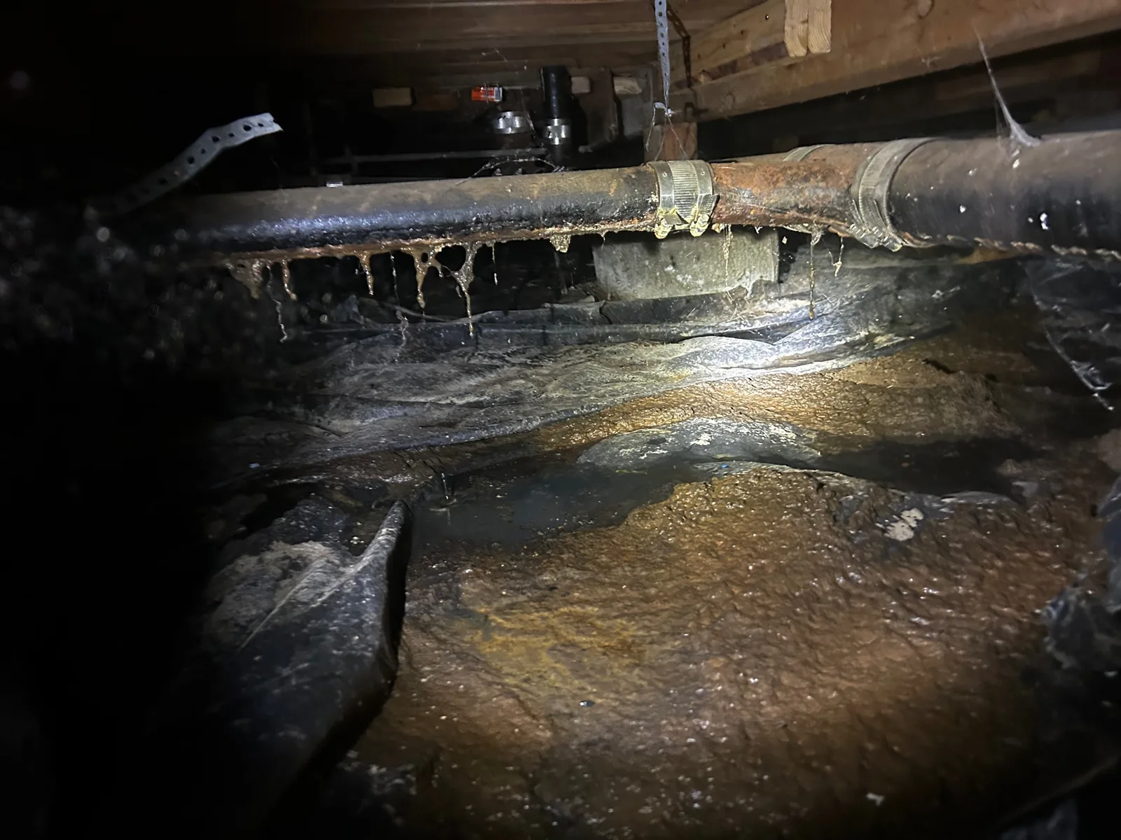 Sewage pooled in a crawl space under a leaking drain line